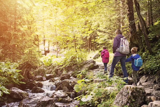 Mother and kids hiking in sunny forest